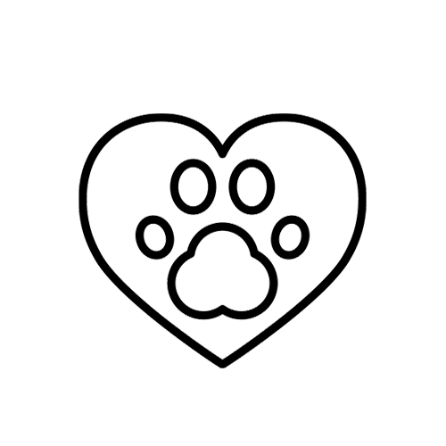 Kit caní per a allotjaments pet friendly | Amenities Pack