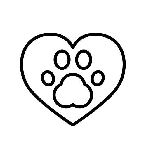 Kit canino para alojamientos pet friendly | Amenities Pack